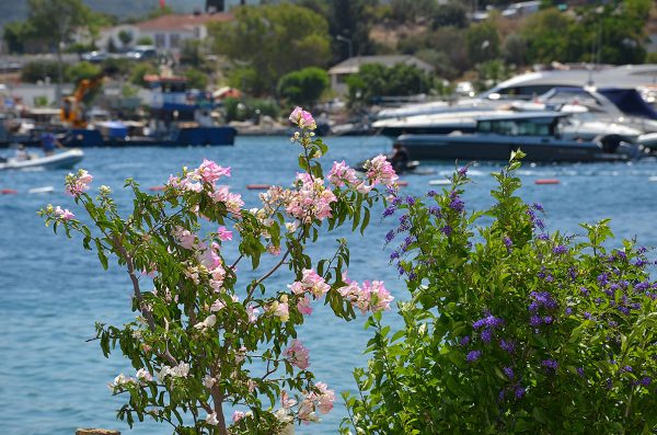 Knidos Türkbükü Otel, Restaurant ve Plaj
